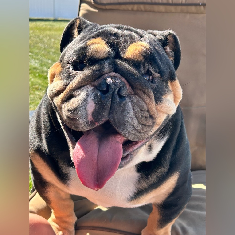 Courtney's (ck880) LIVE💙🦋🩵Come Say Hi! - Picture 14 of 16